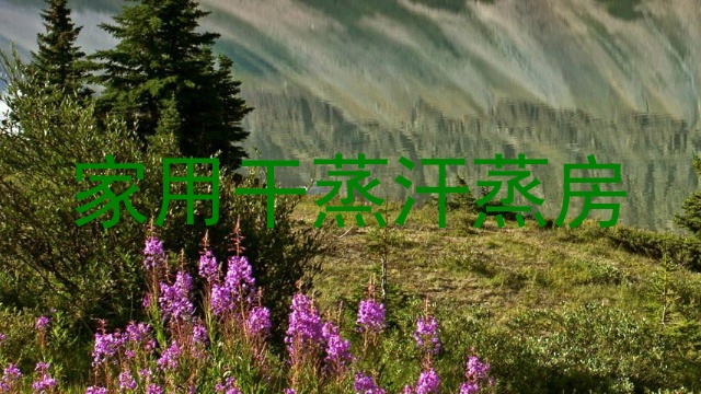 家用干蒸汗蒸房