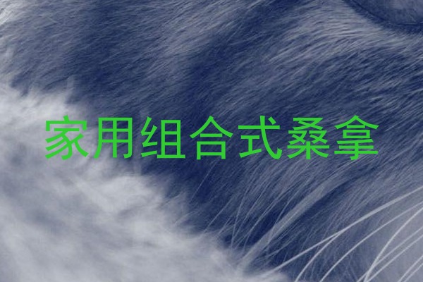 家用组合式桑拿