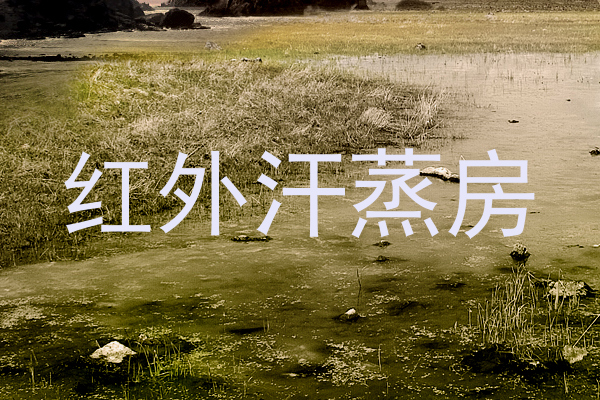 红外汗蒸房