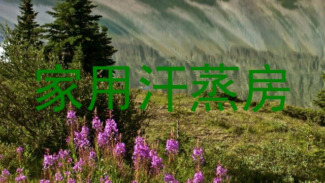 家用汗蒸房