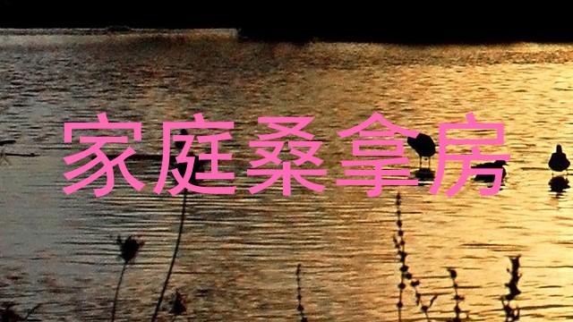 家庭桑拿房