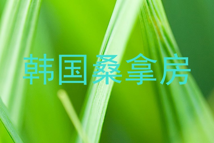 韩国桑拿房