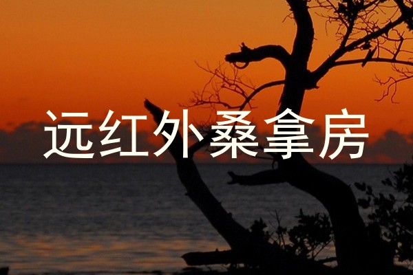 远红外桑拿房
