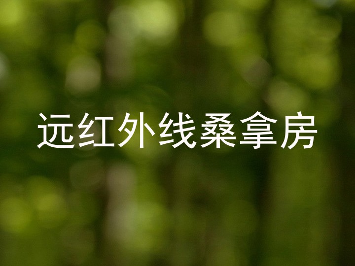 远红外线桑拿房