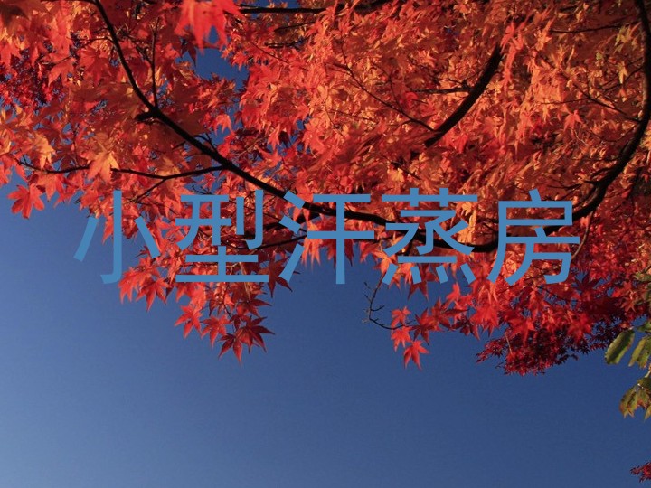 小型汗蒸房