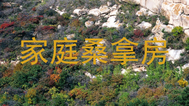 家庭桑拿房