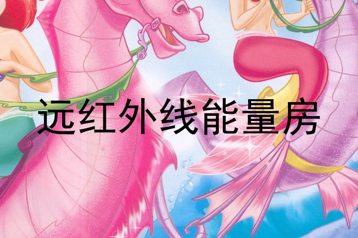远红外线能量房