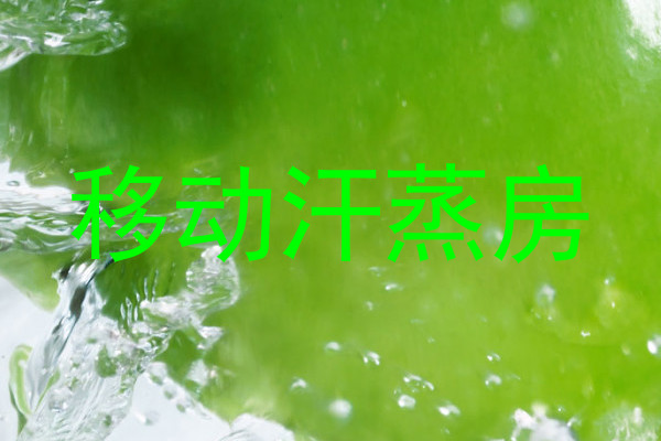 移动汗蒸房