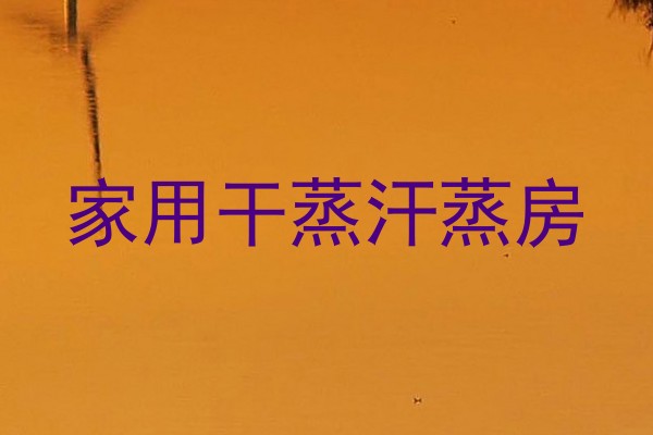 家用干蒸汗蒸房