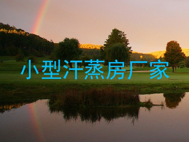 小型汗蒸房厂家