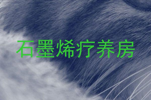 石墨烯疗养房