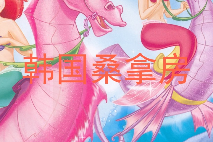 韩国桑拿房