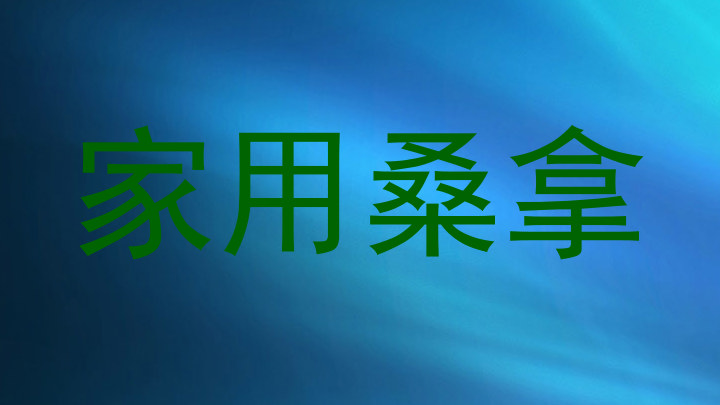 家用桑拿