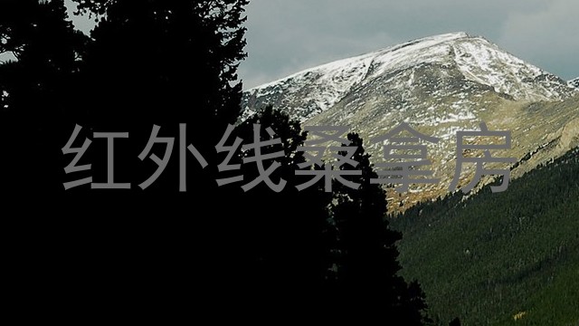红外线桑拿房