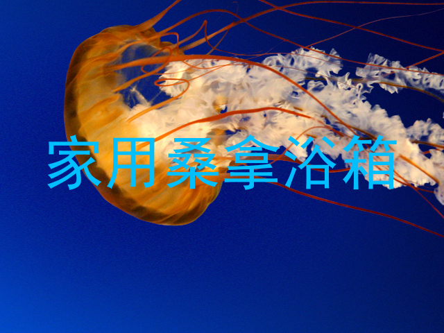 家用桑拿浴箱