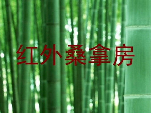 红外桑拿房