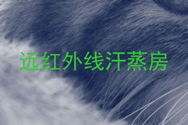 远红外线汗蒸房