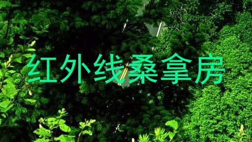 红外线桑拿房