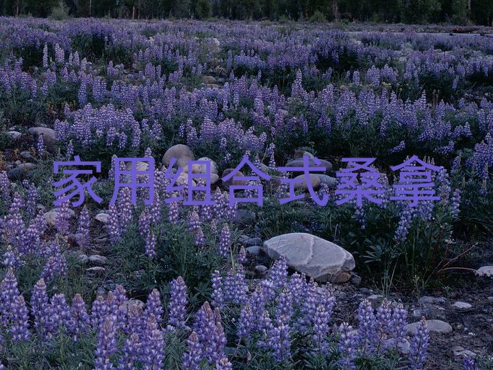 家用组合式桑拿