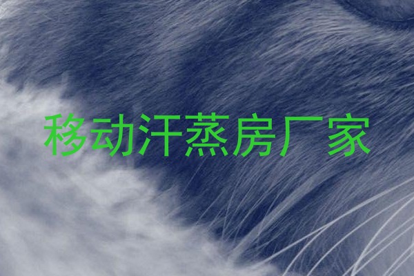 移动汗蒸房厂家