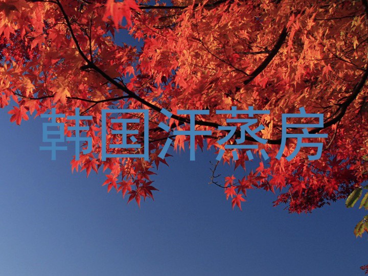 韩国汗蒸房