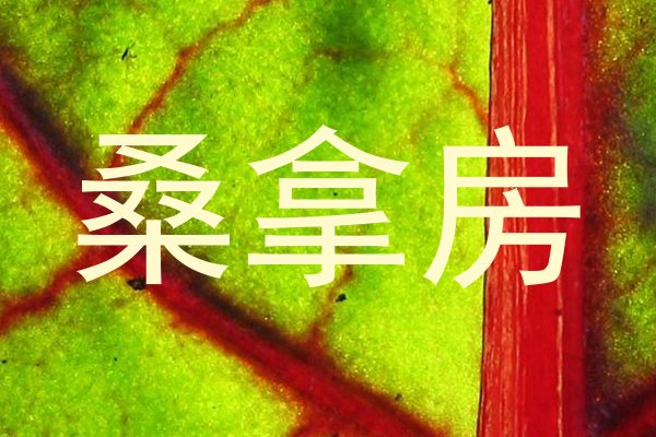 桑拿房