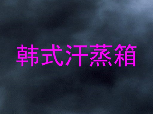 韩式汗蒸箱