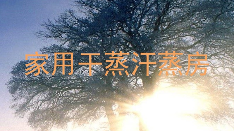 家用干蒸汗蒸房