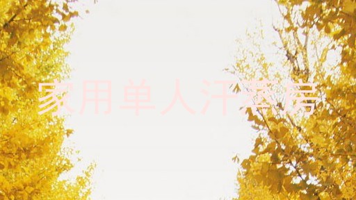 家用单人汗蒸房