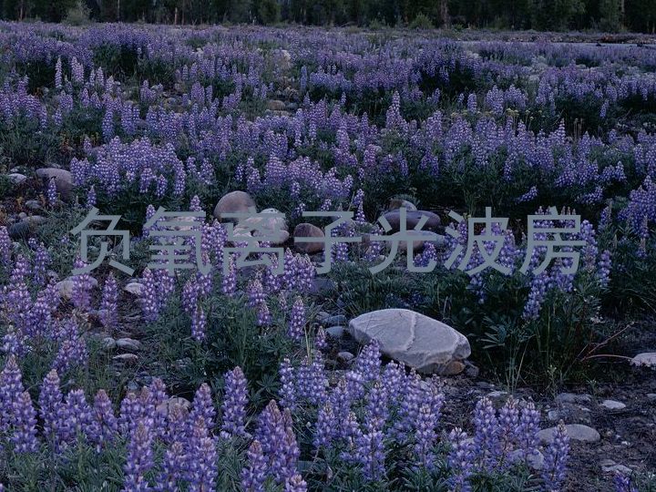 负氧离子光波房