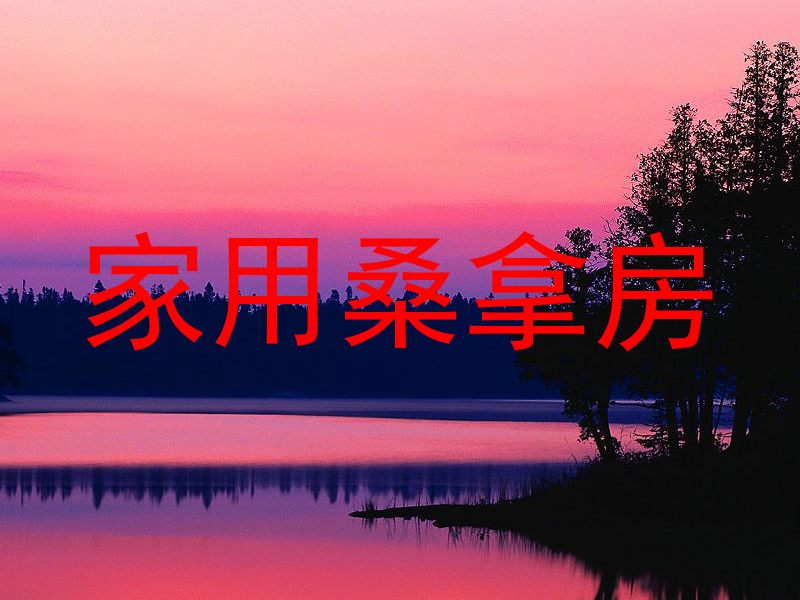 家用桑拿房