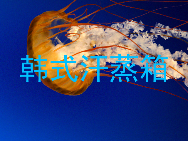 韩式汗蒸箱