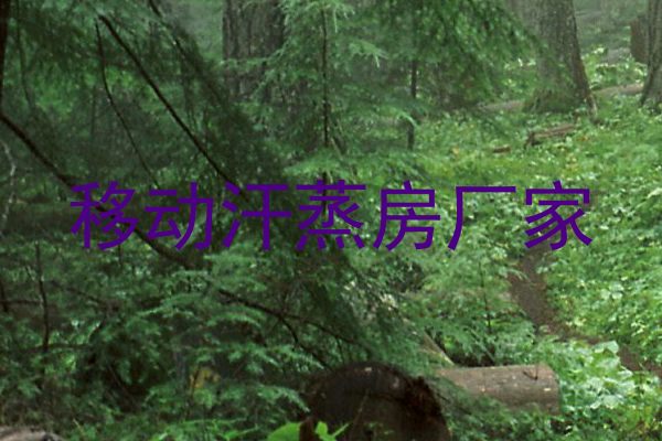 移动汗蒸房厂家