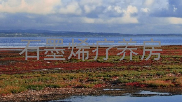 石墨烯疗养房