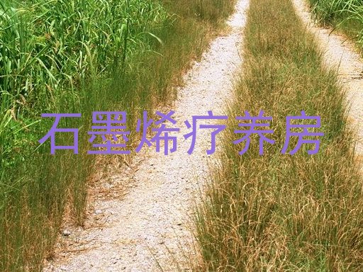 石墨烯疗养房