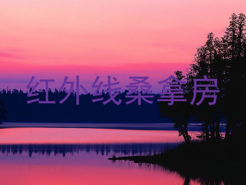 红外线桑拿房