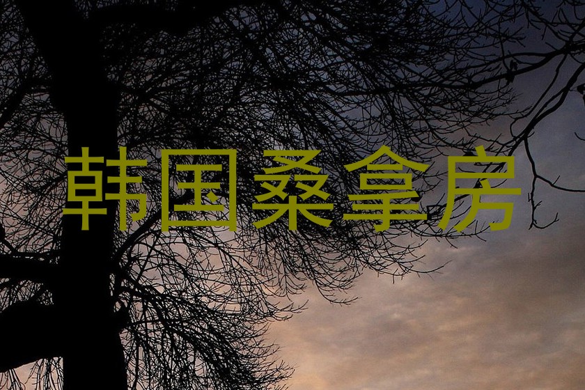 韩国桑拿房