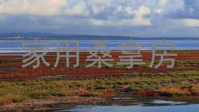 家用桑拿房