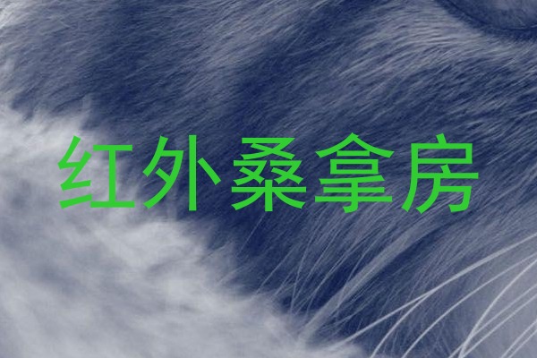 红外桑拿房