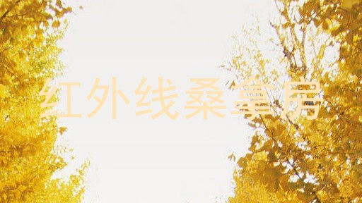 红外线桑拿房