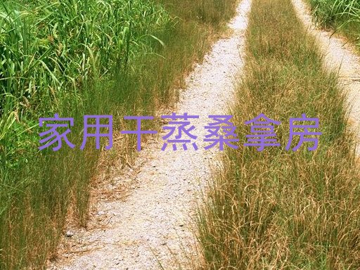 家用干蒸桑拿房