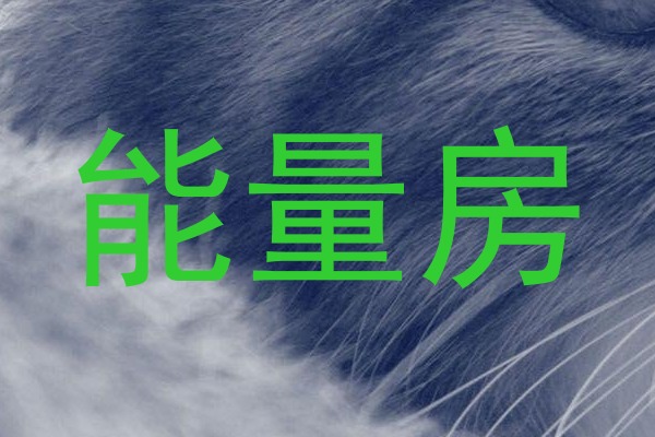 能量房