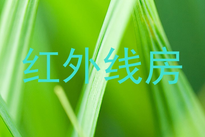 红外线房