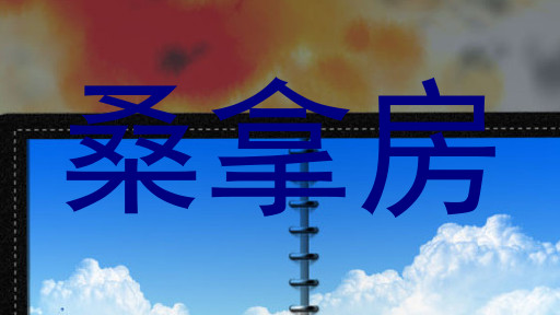 桑拿房