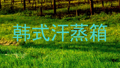 韩式汗蒸箱