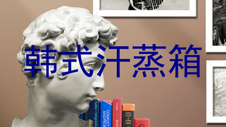 韩式汗蒸箱