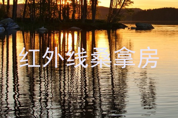 红外线桑拿房