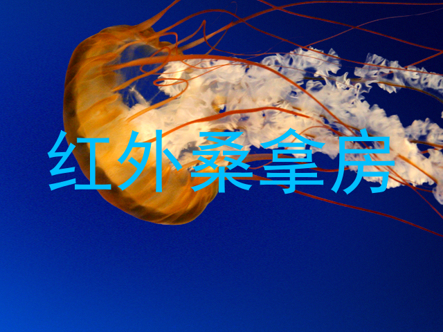 红外桑拿房