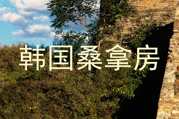韩国桑拿房