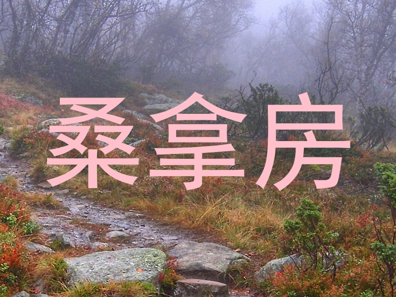 桑拿房
